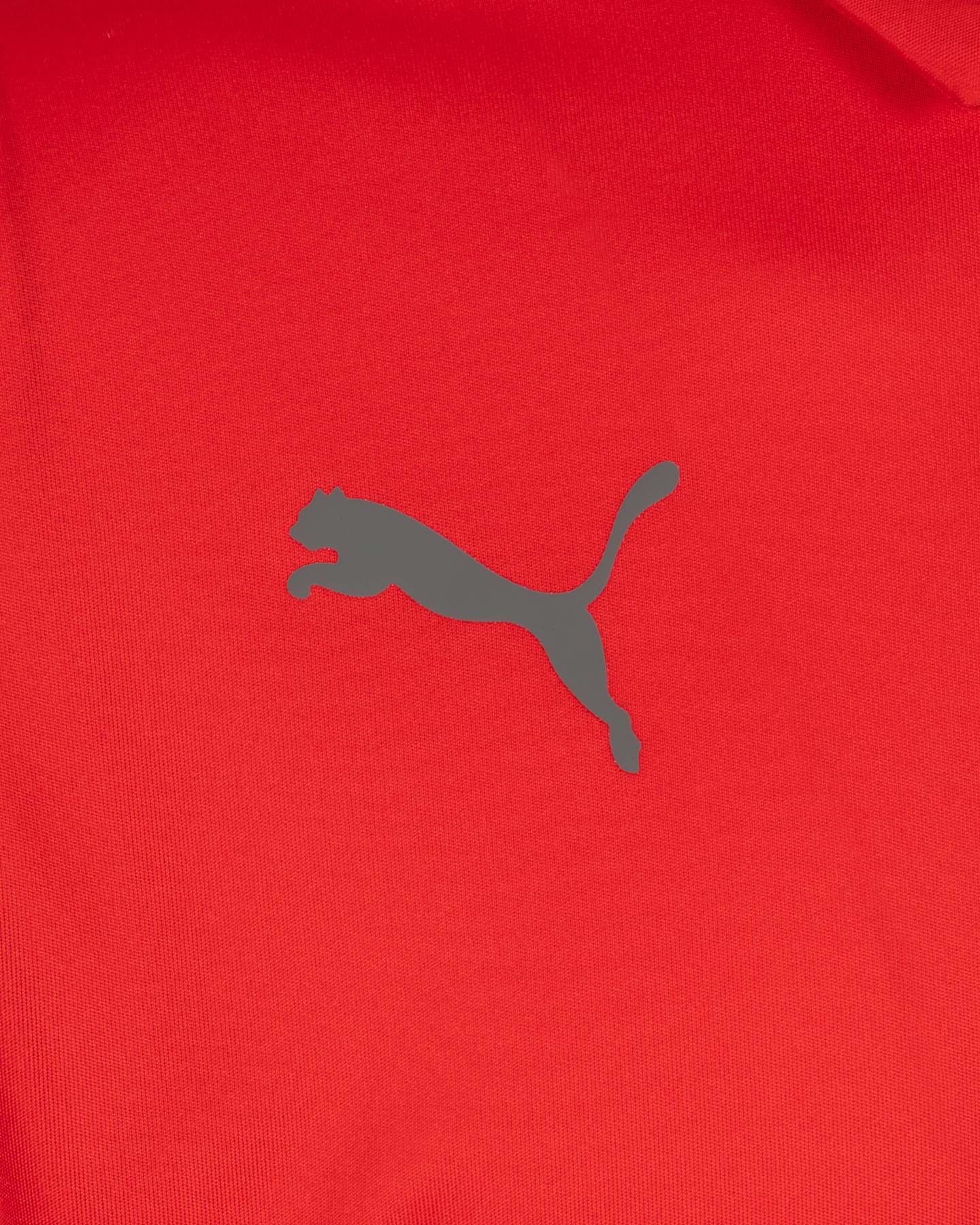 Polo PUMA TEAMLIGA SIDELINE M - Rosso - 2 | Cisalfa Sport