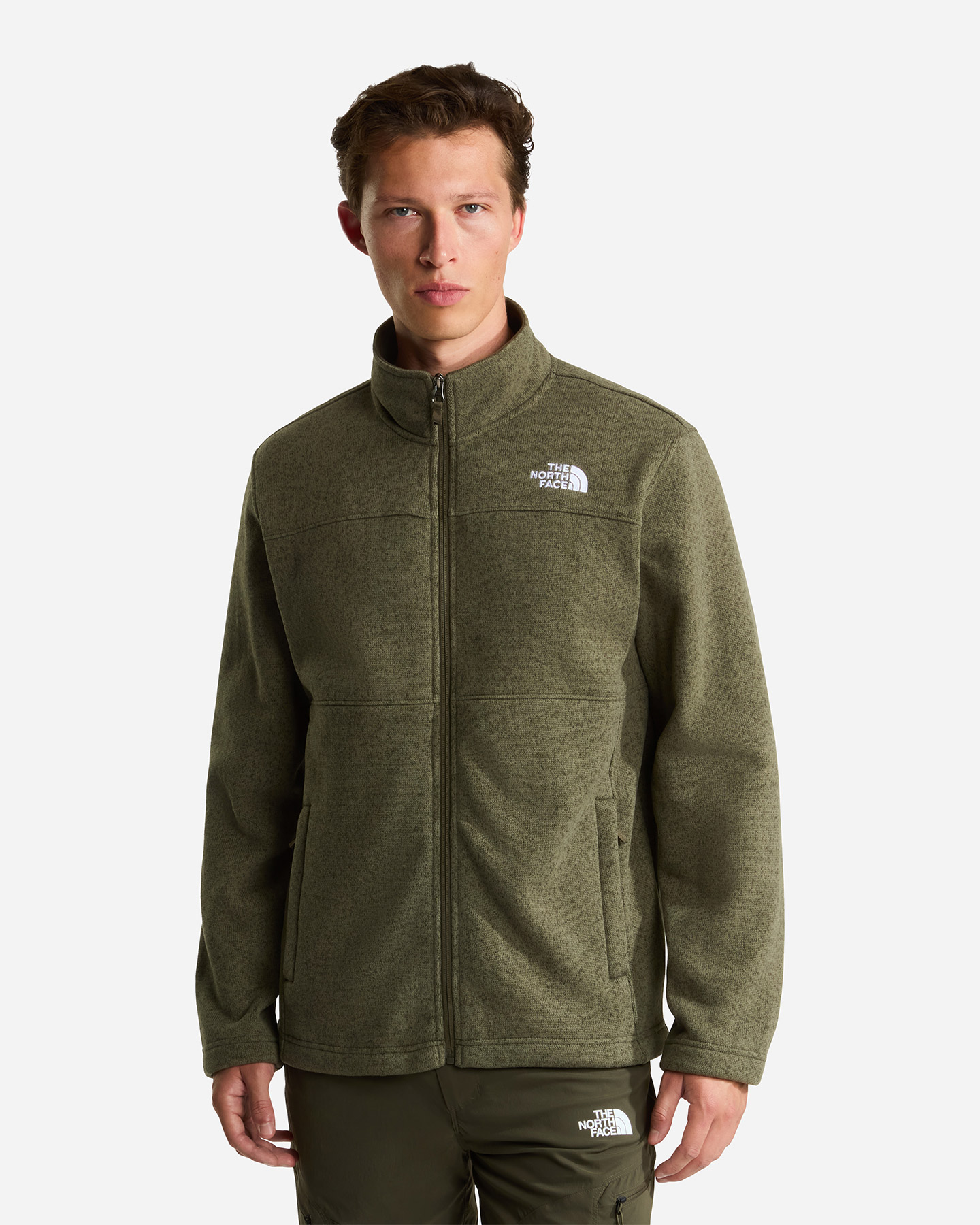 Pile THE NORTH FACE GORDON LYONS M - Verde - 2 | Cisalfa Sport