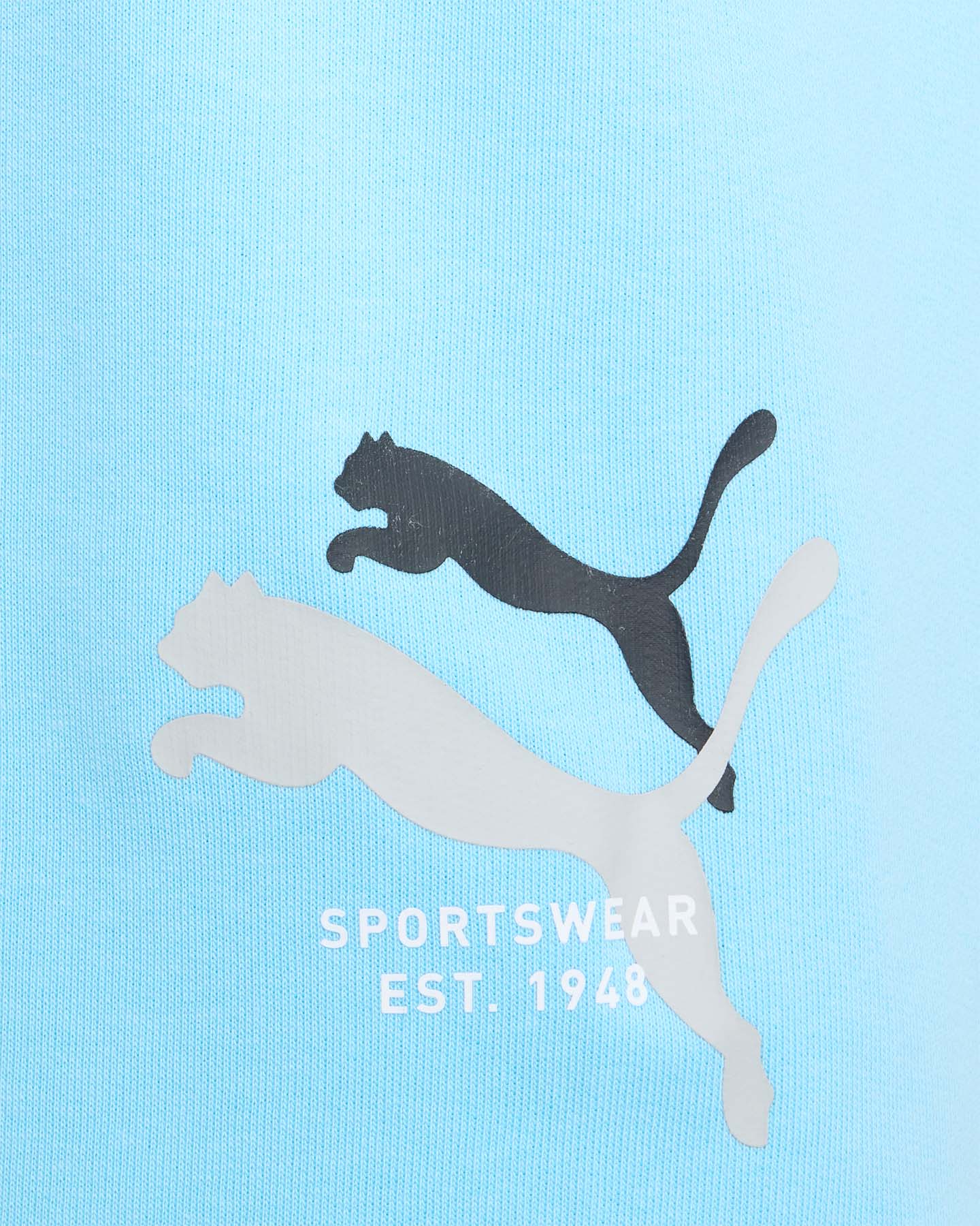 Pantaloncini PUMA LOGO LAB SUMMER M - Azzurro - 2 | Cisalfa Sport