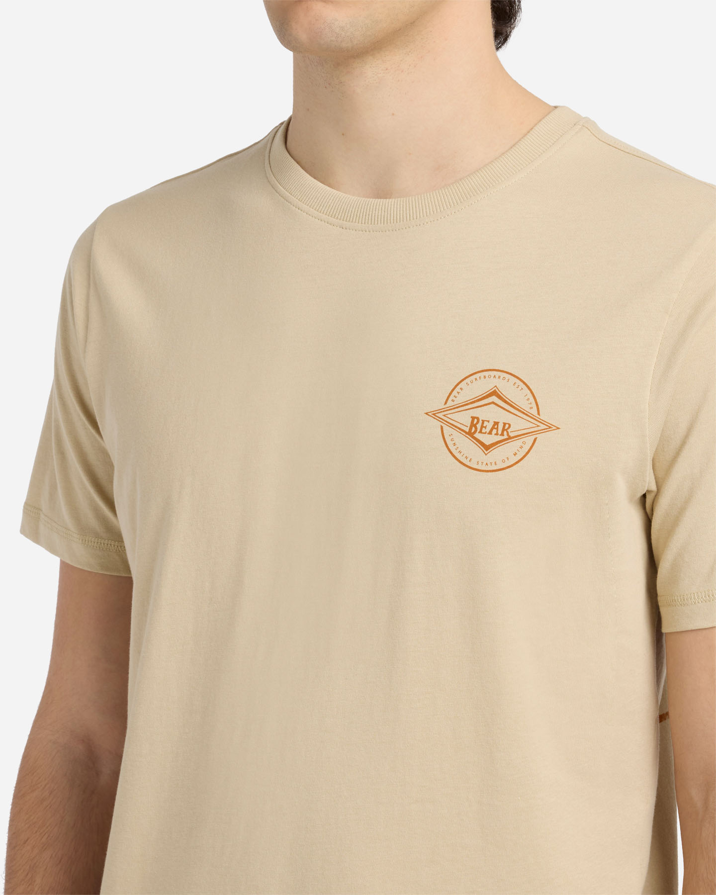 T-shirt BEAR WAVES AFTER WAVES M - Beige - 5 | Cisalfa Sport