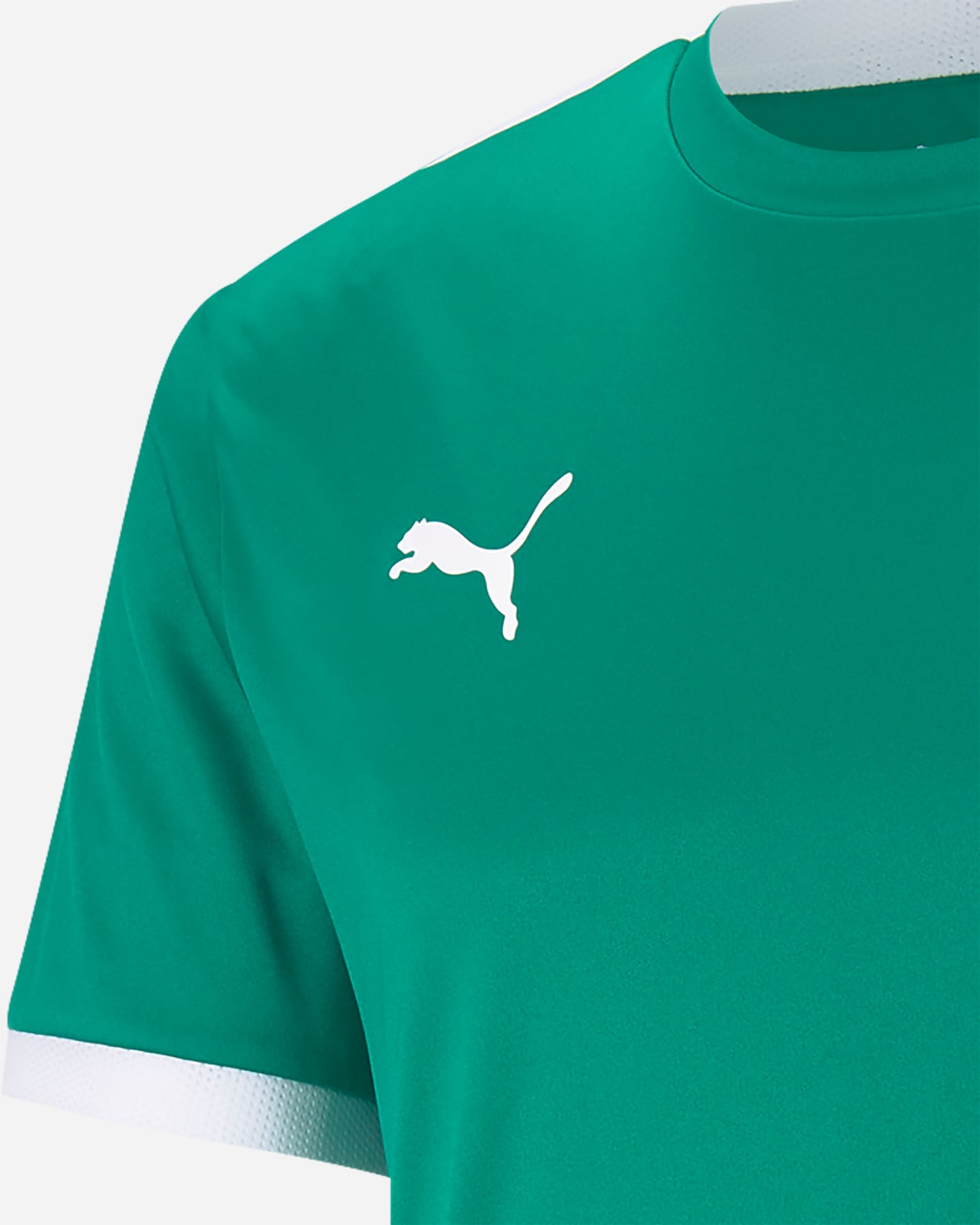 Maglia calcio PUMA TEAMLIGA M - Verde - 2 | Cisalfa Sport