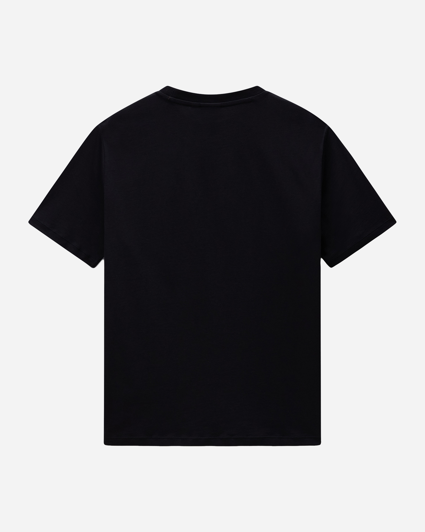 T-shirt NAPAPIJRI SUNDA M - 1 | Cisalfa Sport