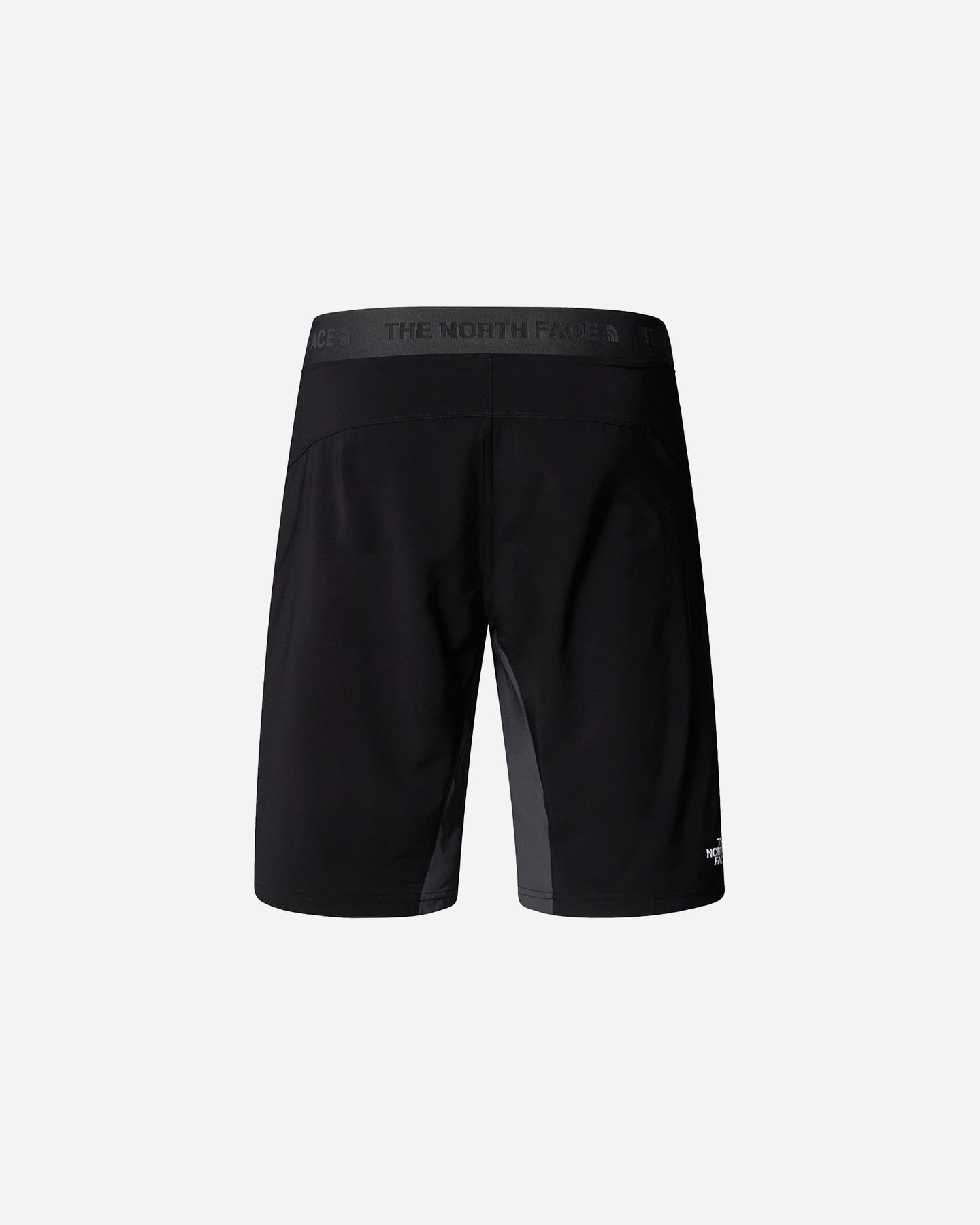 Pantaloncini THE NORTH FACE FELIK ALPINE M - Grigio - 1 | Cisalfa Sport