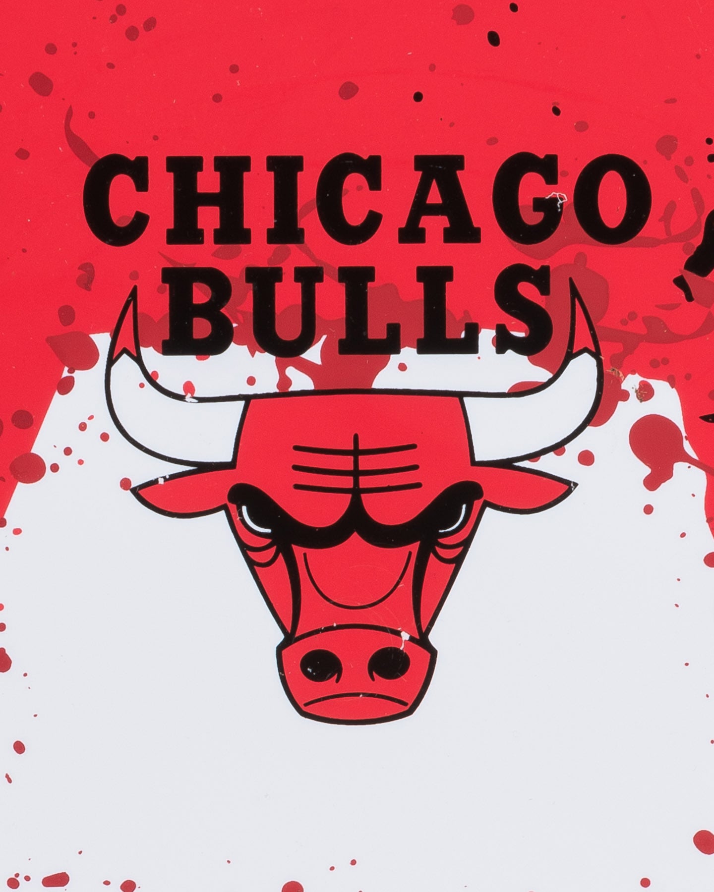 Mini canestro WILSON NBA TEAM CHICAGO BULLS - Rosso - 1 | Cisalfa Sport