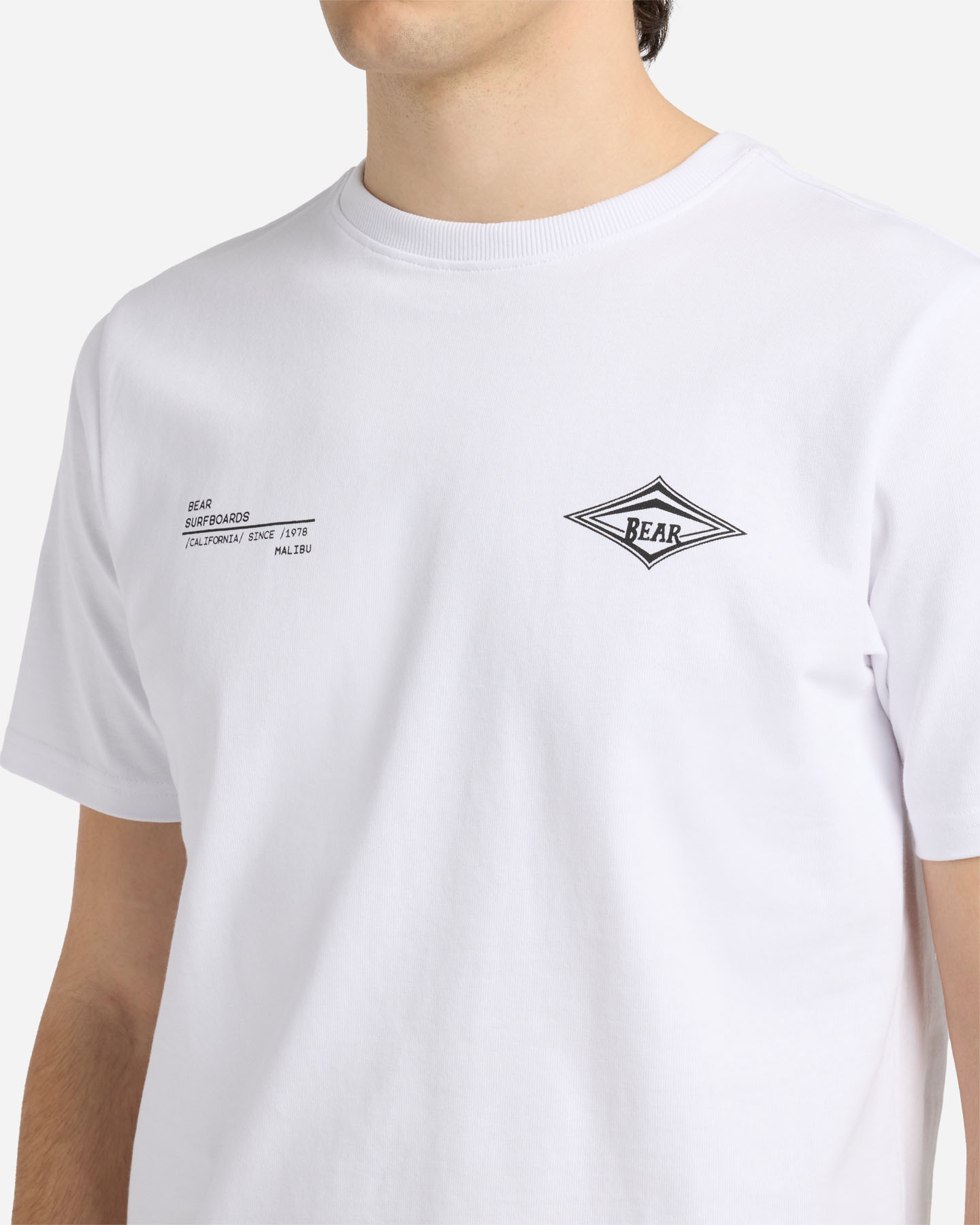 T-shirt BEAR WAVES AFTER WAVES M - Bianco - 5 | Cisalfa Sport