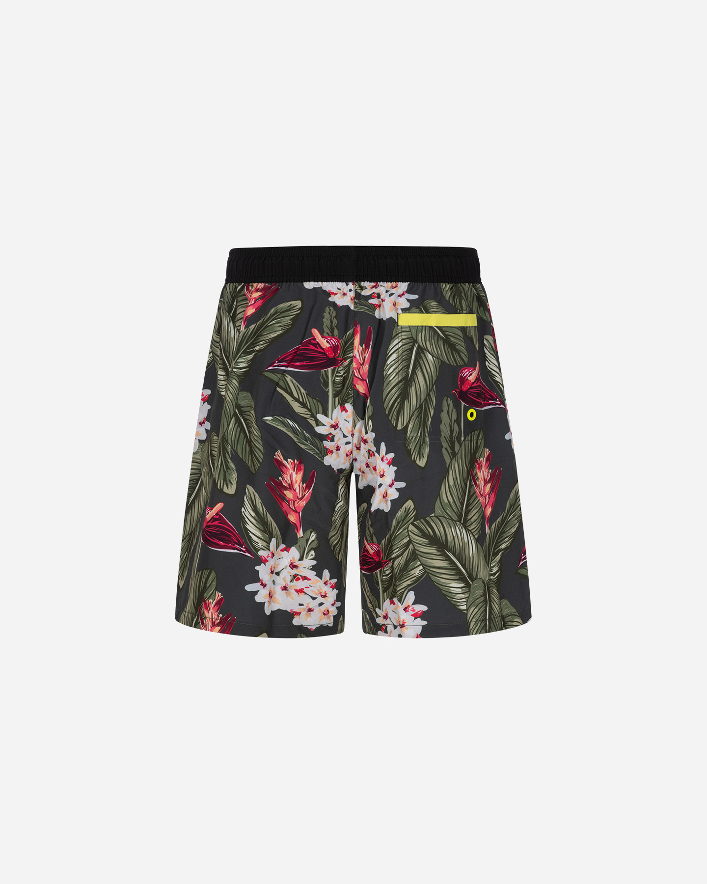 Boardshort mare MISTRAL ICONIC WAVE M - Verde - 1 | Cisalfa Sport
