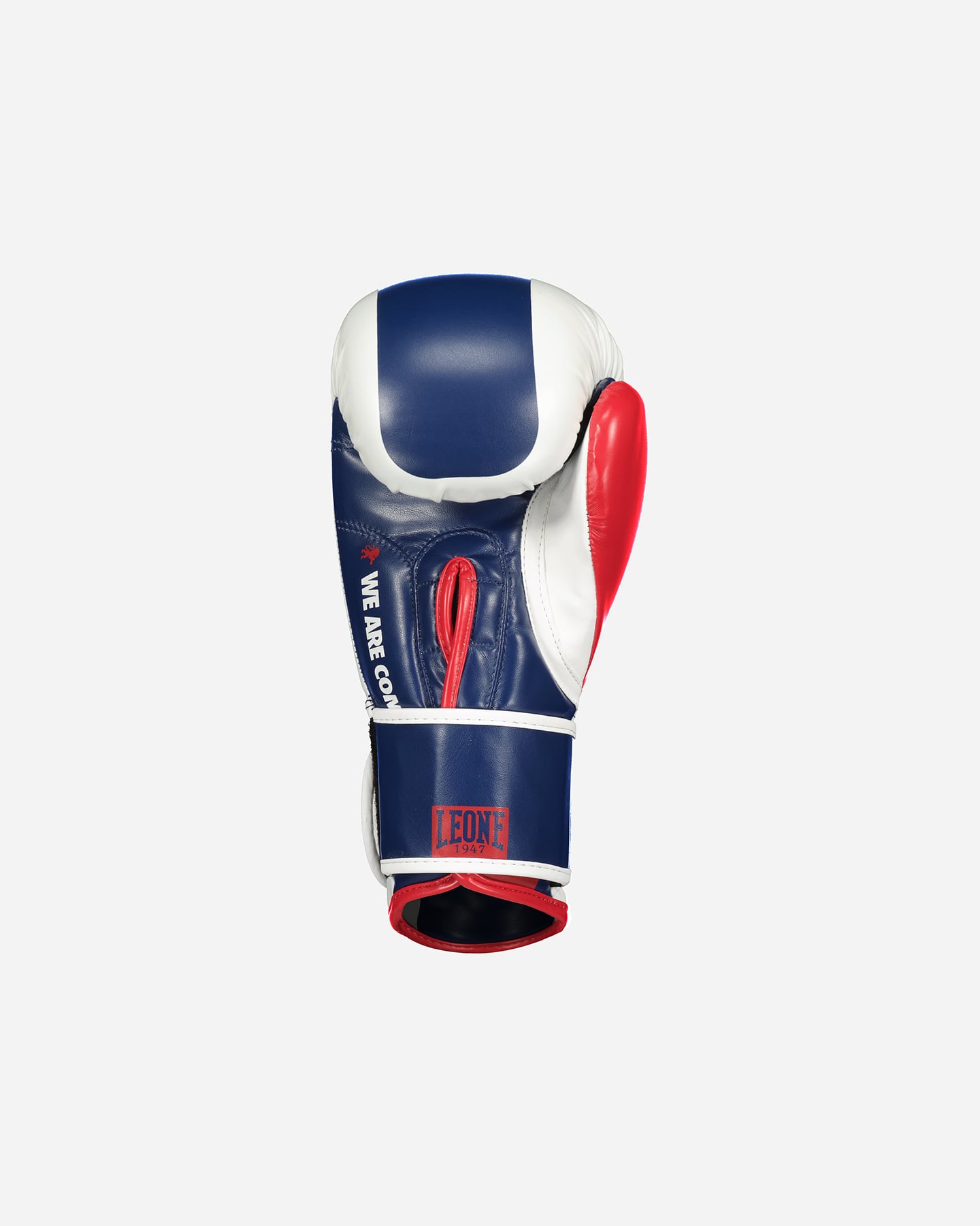 Guanti LEONE COLOR BLOCK  - Blu - 2 | Cisalfa Sport