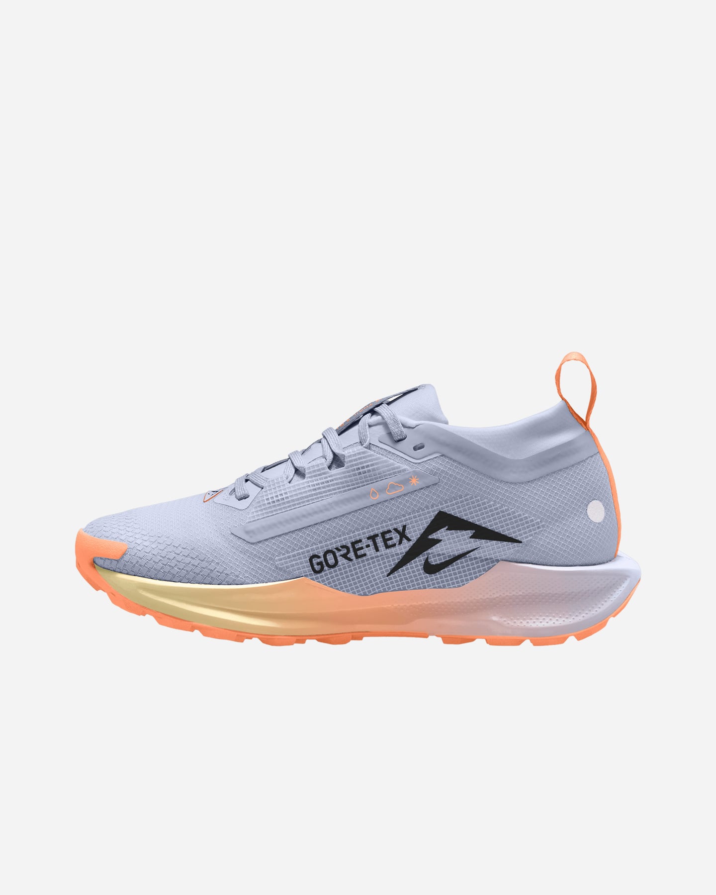 Scarpe trail NIKE PEGASUS TRAIL 5 GORE-TEX W - Azzurro - 3 | Cisalfa Sport