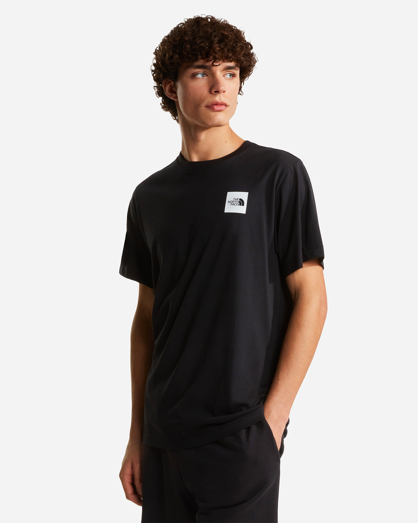 T-shirt THE NORTH FACE EVOLUTION BOX HALF DOME M - Nero - 2 | Cisalfa Sport
