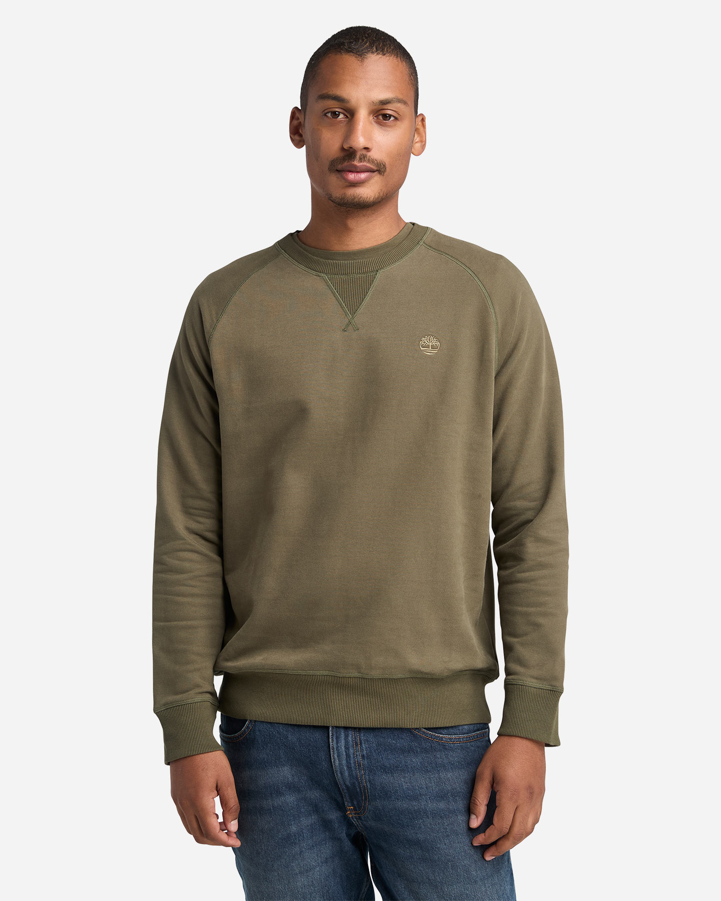 Felpa TIMBERLAND EXETER RIVER M - Verde - 1 | Cisalfa Sport